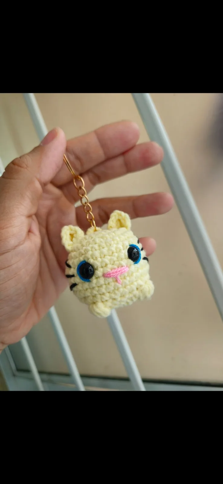 Gato Bolinha