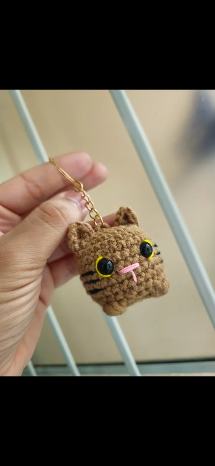 Gato Bolinha